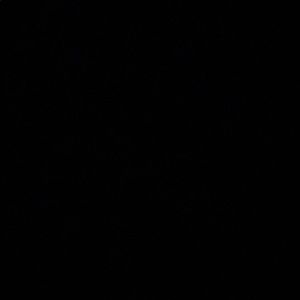 Meet your Posher, Deeqa